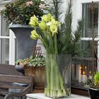 Keine erkennbaren Texte. Vase mit weißen Blumen auf Tisch, Laterne mit Kerzen, Pflanzen in Töpfen, rustikaler Hintergrund.