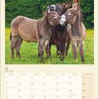 Kalender für März 2027, mit Feiertagen wie Frühlingsanfang und Ostern, zeigt drei Esel auf einer blühenden Wiese.