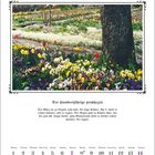 "März", "Der Hundertjährige prophezeit". Bunte Frühlingsblumen in einem Garten mit einem Baumstamm im Vordergrund.