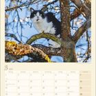 März 2027 Kalender, wichtige Daten: 8. Internationaler Frauentag, 20. Frühlingsanfang, 27. Karfreitag, 28. Ostern. Eine Katze auf einem Baum.