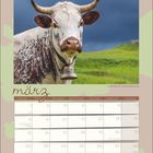 Kalenderseite für März. Bild einer Kuh mit Hörnern und Glocke vor einer grünen Wiese und dunklem Himmel.