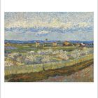 "Vincent van Gogh 1853-1890 Baumblüte Provence 1890 The Courtauld Gallery. Feld mit blühenden Bäumen und Hütten."