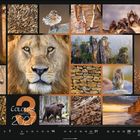 „Colours of Nature 2027“. Viele Naturfotos, darunter ein Löwe, Vögel, Wälder, Felsen, Affen und ein Bison.