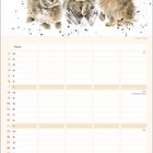 Text: "März", Wochentage und Kalendertage bis 31, Hinweise wie "Internationaler Frauentag", "Frühlingsanfang".  
Illustration: Eine Hasenfamilie.