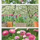 "März" in geschwungener Schrift, gefolgt von den Zahlen 1 bis 31. Drei Fotos mit Frühlingsblumen: Tulpen und Gänseblümchen.