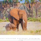 März. Afrikanische Elefanten in einer Graslandschaft, ein Elefant und ein Jungtier gehen nebeneinander unter Palmen.