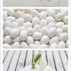 Text: „März“. Oben Milchspritzer, Mitte weiße Eier, unten kleiner weißer Kürbis auf Holzboden.