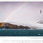 Finalist im COP26 Countdown Fotowettbewerb. Küstenlandschaft mit Regenbogen, Gletscher und fliegendem Vogel. Unten Monatsübersicht.