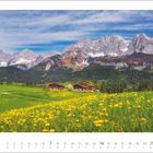 Kalender: März 2027. Eine Frühlingswiese mit gelben Blumen, dahinter beeindruckende schneebedeckte Berge unter blauem Himmel.