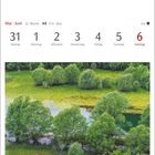 Kalender: Mai | Juni, 22. Woche. Darunter Auenlandschaft am Skadarsee, Montenegro. Üppige Bäume, Wasserflächen.