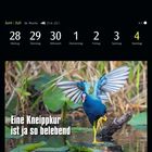 Text: "Eine Kneippkur ist ja so belebend." Oben Kalenderdaten: 28. Juni bis 4. Juli. Ein Vogel mit blauen Federn läuft durch Wasser.