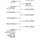 Zeitleiste über Entstehungsjahre der Seahawks mit Ereignissen von 1972 bis 1982. Beige Hintergrund, schwarze Schrift.