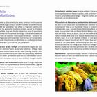 "Nadeln & Faden 18. Wolle selbst färben" - Anleitung zum Färben von Wolle, inklusive Vorbereitung und Methoden.