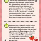 1d: Jahresringe zeigen Baumalter.  
2a: Ameisen schützen Blattläuse; sie mögen deren Ausscheidungen. Zeichnung: Ameise mit Erdbeere.