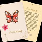 Auf einer Karte steht "Anpassung". Sie zeigt einen bunten Schmetterling über einer rosa Blume.