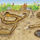 Texte: "Auch unter der Erde sind viele Tiere zu Hause..." Tiere und Gänge unter der Erde mit Pflanzen oben.