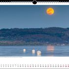 Text: "Ruhige Wetterlage bei klarer Sicht am Bodensee und der aufgehende Vollmond über dem Pfahlbaumuseum in Uhldingen."

Beschreibung: Ein orangefarbener Vollmond über einem ruhigen See mit Bäumen im Hintergrund und Bojen im Vordergrund.
