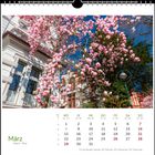 Kalenderblatt für März, mit Wochen- und Feiertagsübersicht. 
Blühender Magnolienbaum vor einem Gebäudeeingang.