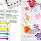 Links: "Vibrancy" und "Transparency" mit Text über Farbwirkung und Transparenz. Rechts: Blumen mit Farbproben.