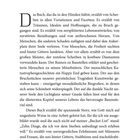 Seite 11. Text beschreibt ein Buch über zerbrochene Träume und Hoffnungen und wie Scherben zu neuen Chancen werden.