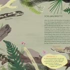 Text: "Schlangengifte", "Kreuzotter", "Aspisviper", "WUSSTEST DU ...?". Illustration von zwei Schlangen in einer natürlichen Umgebung.