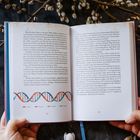 Texte benennen Themen wie Ahnenklärung, Ahnenaktivierung und spirituelle Heilung. Bonus über Ahnenwelt-Gesetzmäßigkeiten.