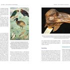 Texte: „Der Dodo – Vom Aussterben zur Auferstehung“, „Einfuhr lebender Tiere“, „Abb. Fig. 6“, „Abb. Fig. 7“, „Ausrottung“. Links ist eine Illustration mit verschiedenen Vögeln, rechts ein Foto eines Dodo-Schädels.