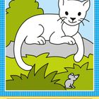 „Die Katze hat etwas entdeckt: Hat sich hier eine Maus versteckt?“ Illustration mit Katze auf Felsen, Maus im Gras.