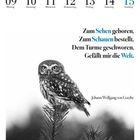 Kalender: August, 9. bis 15. Gedicht von Goethe. Schwarz-weiße Illustration einer Eule auf einem Baumast.