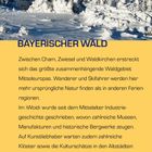 Text: „BAYERISCHER WALD... Ein eigenes Kapitel ist dem angrenzenden Böhmerwald gewidmet.“
Schneebedeckte Bäume unter blauem Himmel.