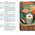 Texte mit Rezepten für Brühen und Tomatenerbsen. Auf der rechten Seite Getränke in Gläsern, Obst und Dextro Verpackung.