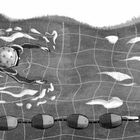 Ein Schwimmer in einer Bahn mit Kacheln, trägt eine gemusterte Badekappe, durchzieht das Wasser mit ausgebreiteten Armen.