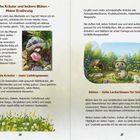 Titel: "Frische Kräuter und leckere Blüten – Meine Ernährung". Links ein Foto einer Schildkröte mit Blume. Rechts eine Illustration: lächelnde Schildkröte im Garten.