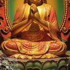 März 2027, Zitat: "Schmerz ist unvermeidlich, Leiden freiwillig." Buddhistische Weisheit. Goldener Buddha mit Flammen.