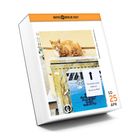 „Die Katze nicht füttern! Sie ist zu dick!“ steht auf einem Zettel. Eine orangefarbene Katze sitzt auf einem Kasten.