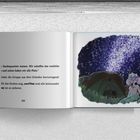 Seite mit Text über Nachtquartier. Rechts Illustration: Zwei Mäuse schauen in den sternklaren Himmel, nahe eines Zeltes.