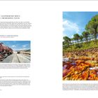 MINAS DE RIOTINTO – Faszinierende Minen; Fahrt von El Rocío nac...; RIOTINTO MINING PARK; Landschaft mit roten Steinen und grünen Bäumen.