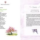 **Fabel:**  
**Die junge Schwalbe**  
Gotthold Ephraim Lessing

Links: Gedicht über vier Jahreszeiten, Illustration Baum.
Rechts: Erzählung, Illustration Schwalbe.