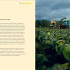 Rechts ein Feld mit Erntemaschinen im Einsatz; links Text: "FERME FRIEH. Biologisches Sauerkraut aus dem Elsass".