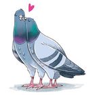 Zwei Tauben küssen sich. Ein rosa Herz schwebt über ihren Köpfen.