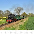 Kalender mit Märzzahlen. Schmalspurlokomotive 99 4801 zieht grüne Waggons durch ländliche Landschaft bei blauem Himmel.
