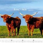 Erika + Heidi. Zwei zottelige Hochlandrinder mit langen Hörnern auf einer grünen Wiese. Darunter Kalendertage.