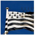 Schwarz-weiße Flagge mit hermelinartigen Symbolen und Streifen, vor blauem Himmel.