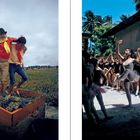 Links stehen zwei Menschen in traditionellen Kleidern, die Trauben treten; rechts: Balletttänzerin inmitten von Schülern.