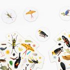 Illustration von Vögeln, Insekten und Pflanzen auf Puzzle-Teilen. Drei runde Stücke mit Vögeln und Insekten.
