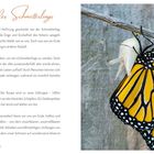 Das Wunder des Schmetterlings. Ein gelb-schwarzer Schmetterling schlüpft aus einem Kokon an einem Zweig. Links Text.
