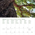 Kalender für Februar 2027 in mehreren Sprachen; oberes Bild zeigt Nahaufnahme eines Baumstamms und grüne Blätter.