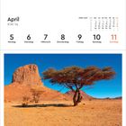 April KW 14. Montag 5 bis Sonntag 11. Ansicht: Wüste in Algerien mit Baum und großem Felsen, unter blauem Himmel.