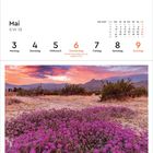 Kalender für Mai 2027, Woche 18. Foto: Blühende lila Blumen in einer Wüstenlandschaft bei Sonnenuntergang.