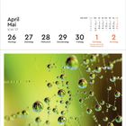 April Mai KW 17. Samstag: Tag der Arbeit (D), Staatsfeiertag (A). Kalender über einem Spinnennetz mit Wassertropfen.